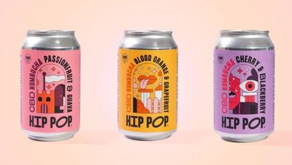 2022饮料行业九大趋势深度解读 无酒精即饮型、植物能量与分子技术引领健康新风尚